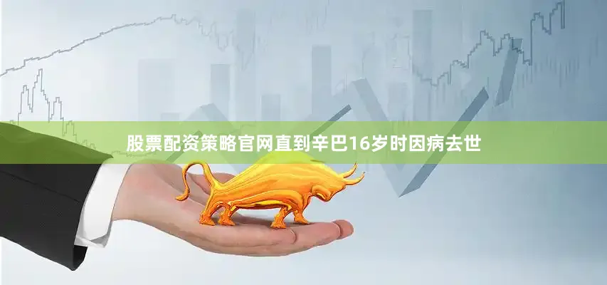 股票配资策略官网直到辛巴16岁时因病去世
