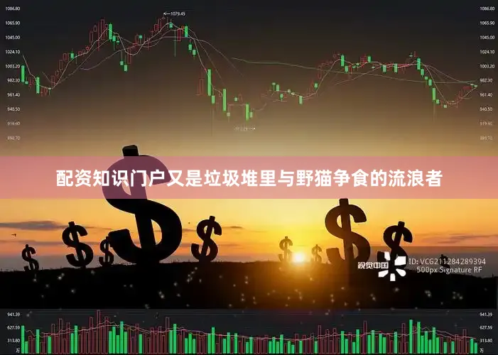 配资知识门户又是垃圾堆里与野猫争食的流浪者