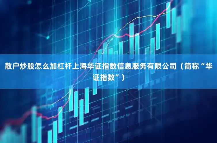 散户炒股怎么加杠杆上海华证指数信息服务有限公司（简称“华证指数”）